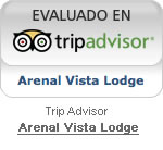 tripadvisor